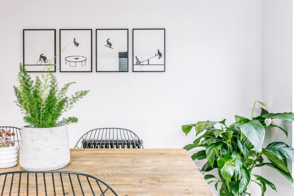 A shot of the dining room exterior of a Fonthill Mews property, focusing on framed artwork, the dining table decorated with plant pots.