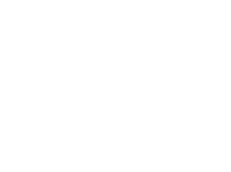 An illustration of the Davies & Davies photographer crouching behind a camera on a tripod to take photos.