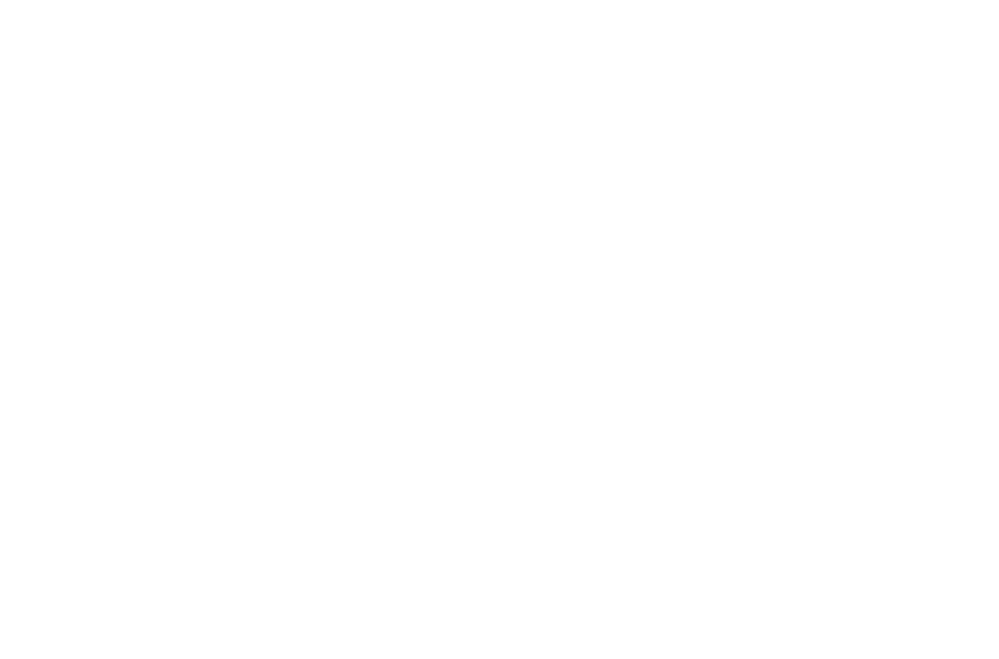 An illustration of woman pointing into the distance, standing next a man into a wheel chair, both wearing high vis jackets and hard hats.