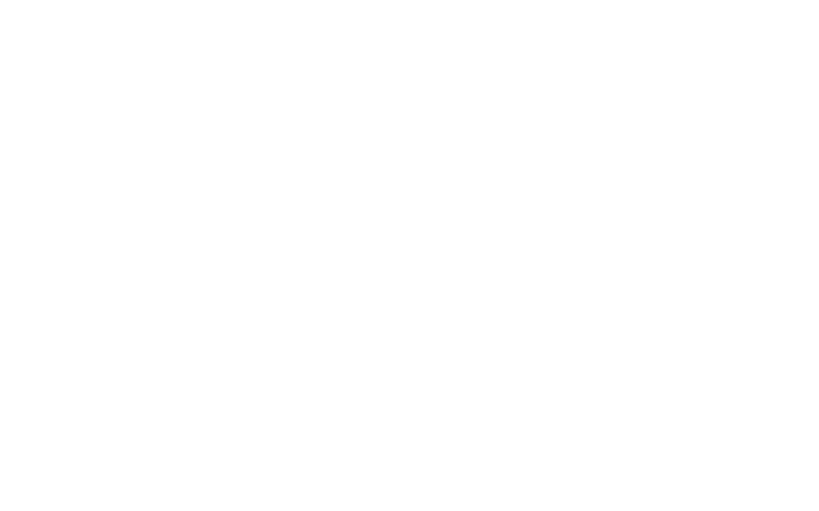 Illustration of Davies & Davies Letting Agents, in Finsbury Park North London, showing a letting negotiator handing a set of keys to a tenant.